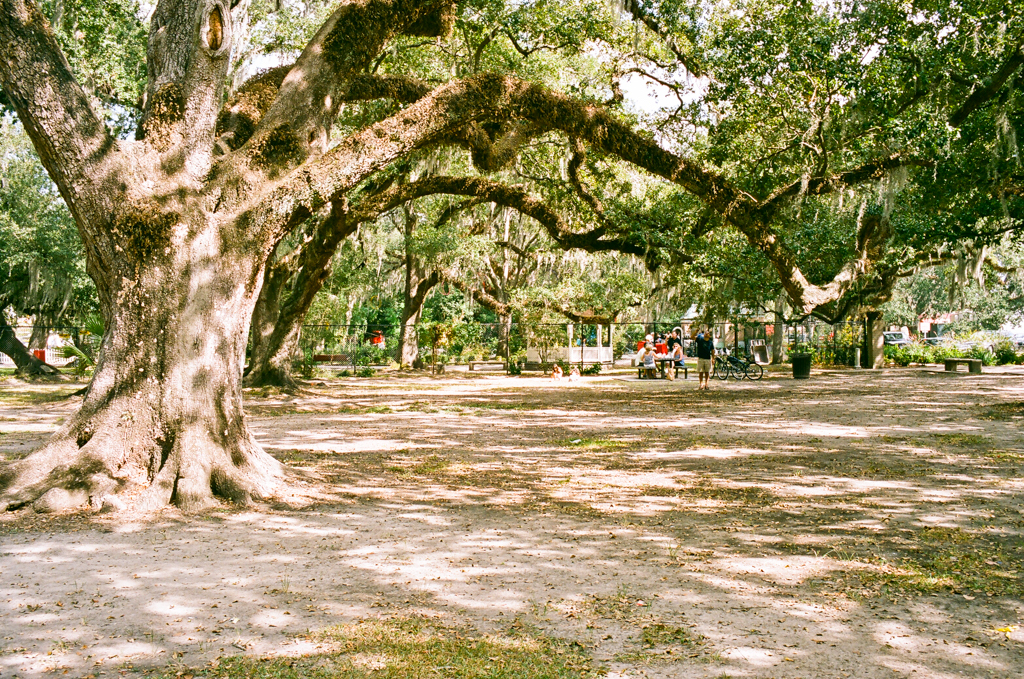 ../../../../../_images/russell-dyerhouse-citypark-new-orleans-20101105-051.jpg